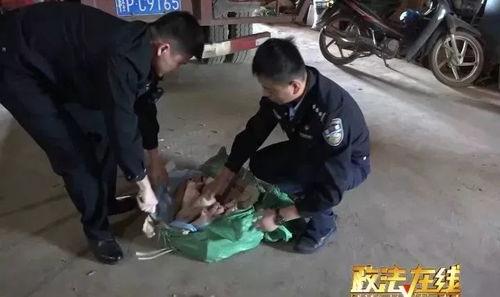 主播爆料囤积仓库视频,揭秘幕后黑幕 第3张 主播爆料囤积仓库视频,揭秘幕后黑幕 第3张